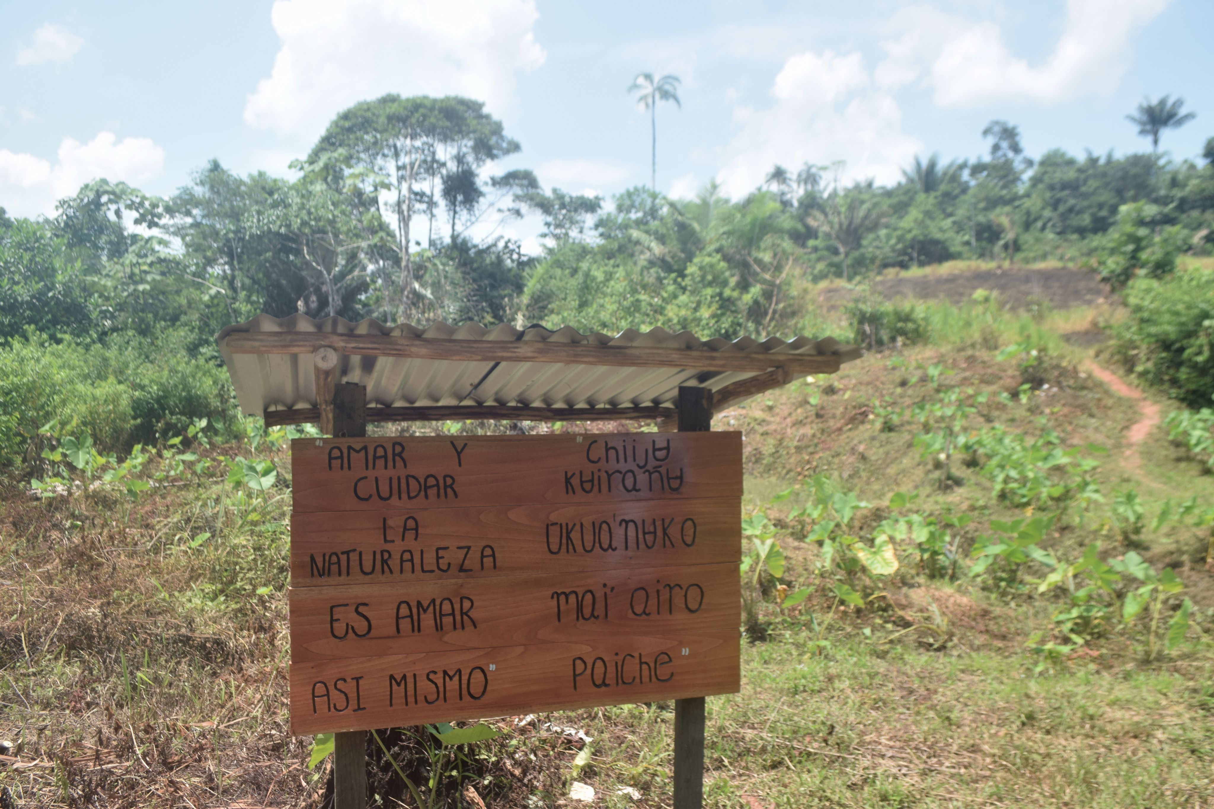 Photo: UNDP Colombia / Fredy Genes Arrieta