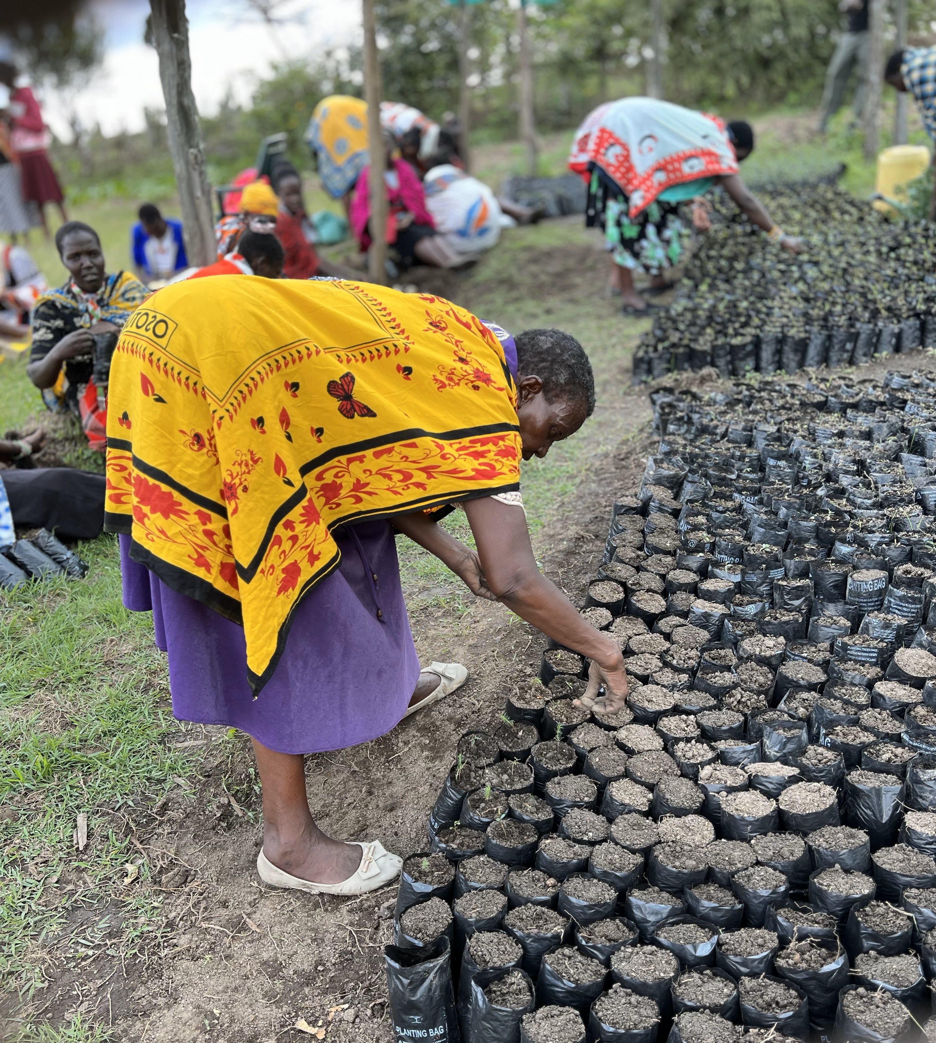 Photo: Ecomedia Kenya