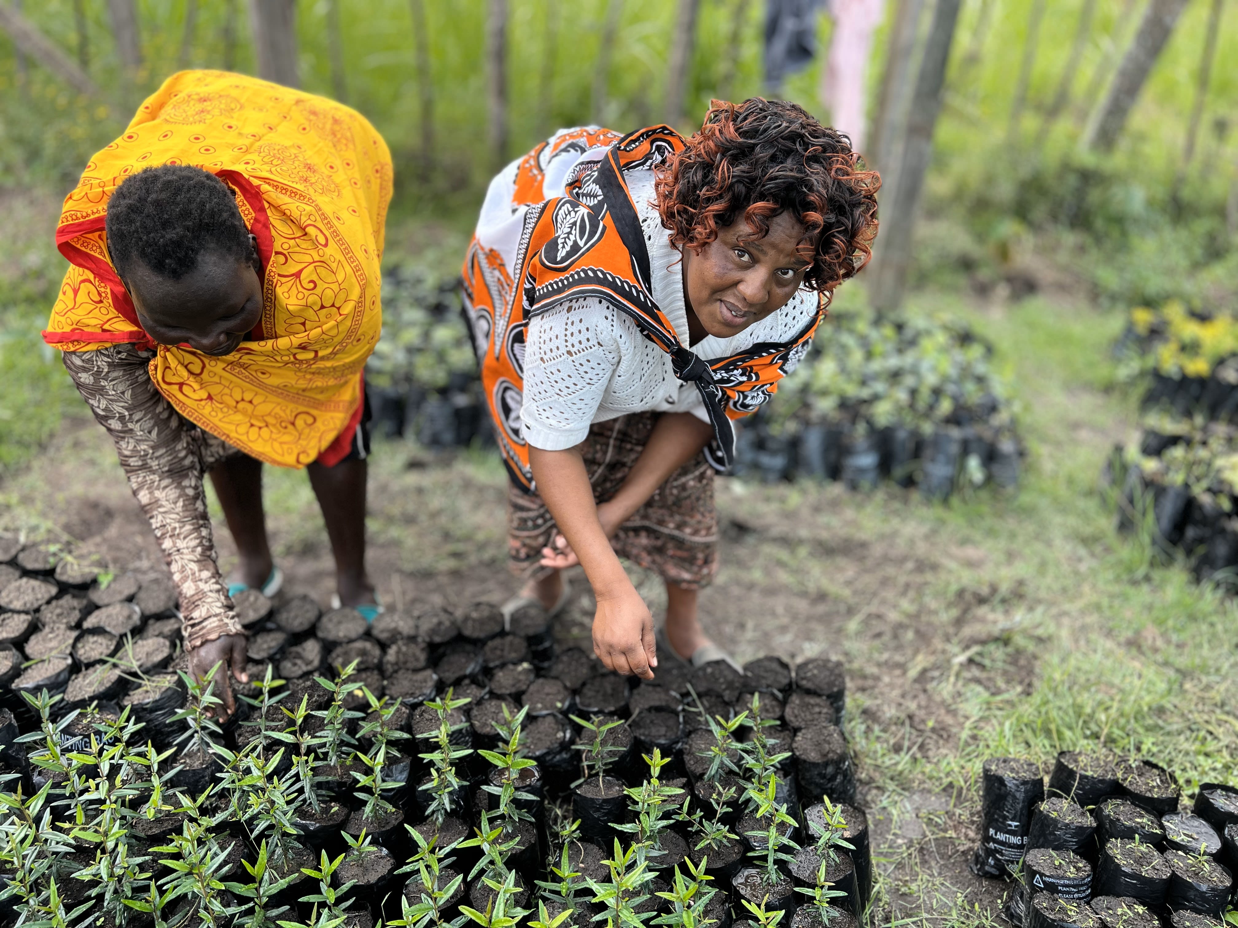 Photo: Ecomedia Kenya