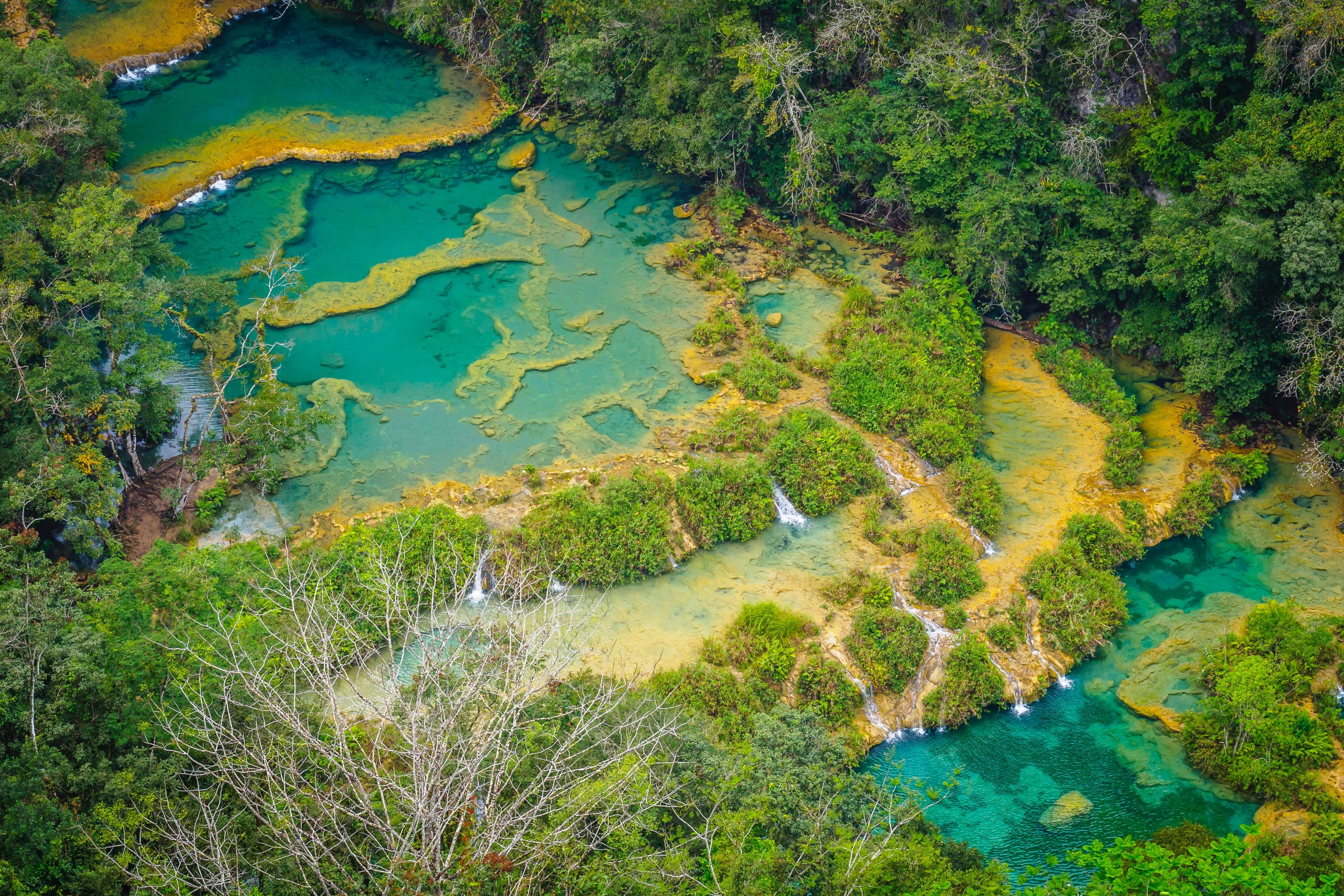 aerial view of green trees and lake