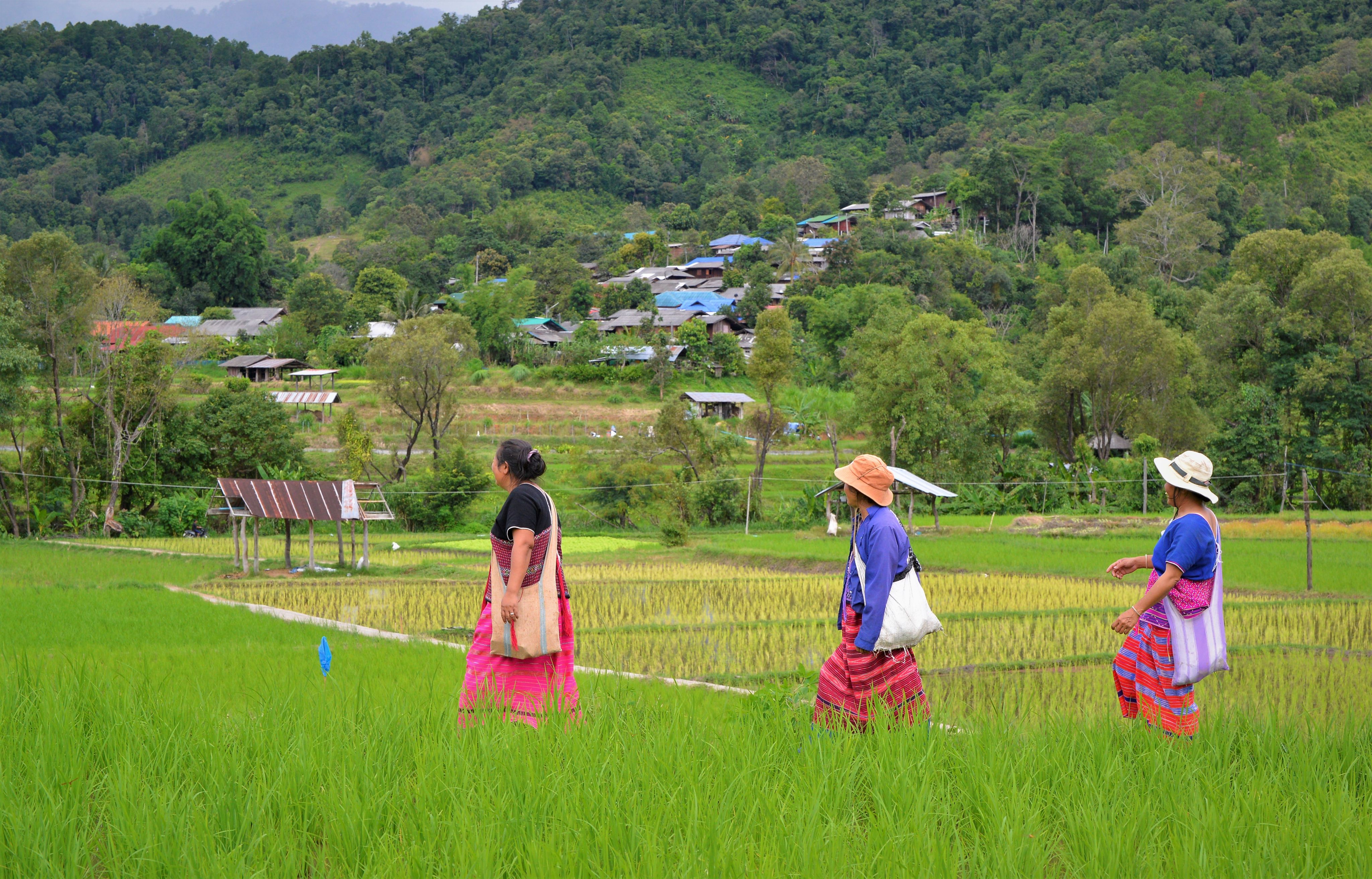 nationally-determined-contributions-in-asia