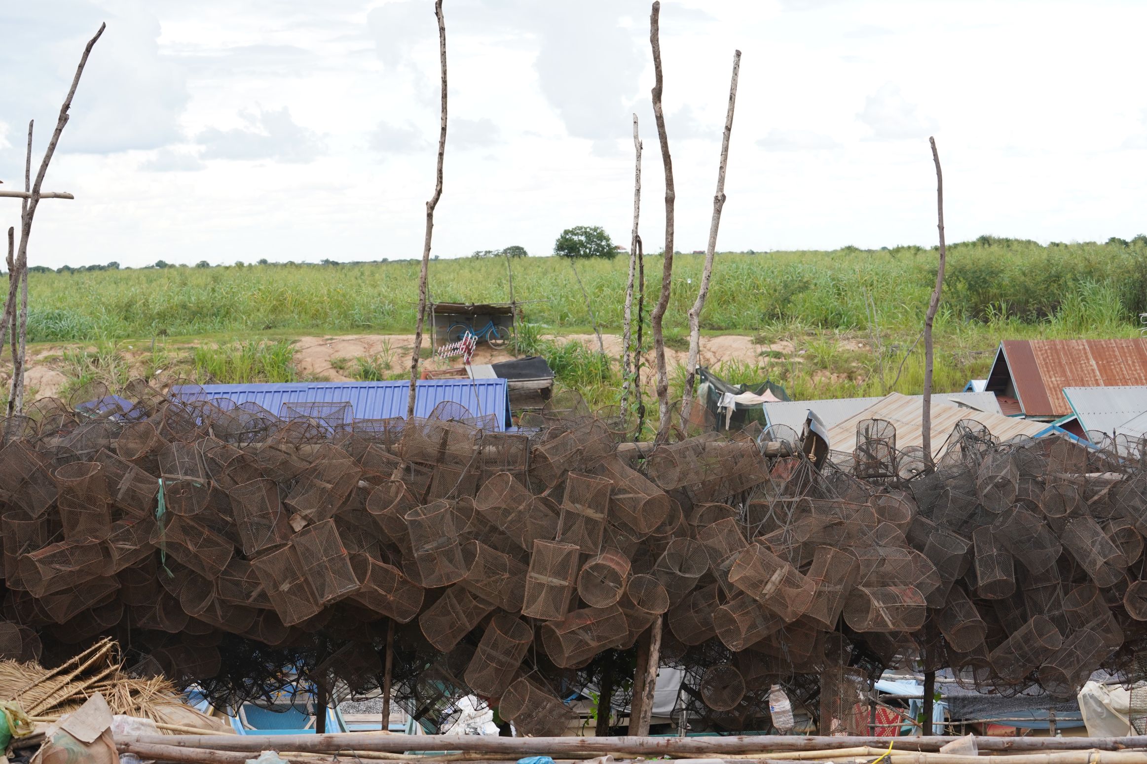 Our fish need the flooded forest as their shelter