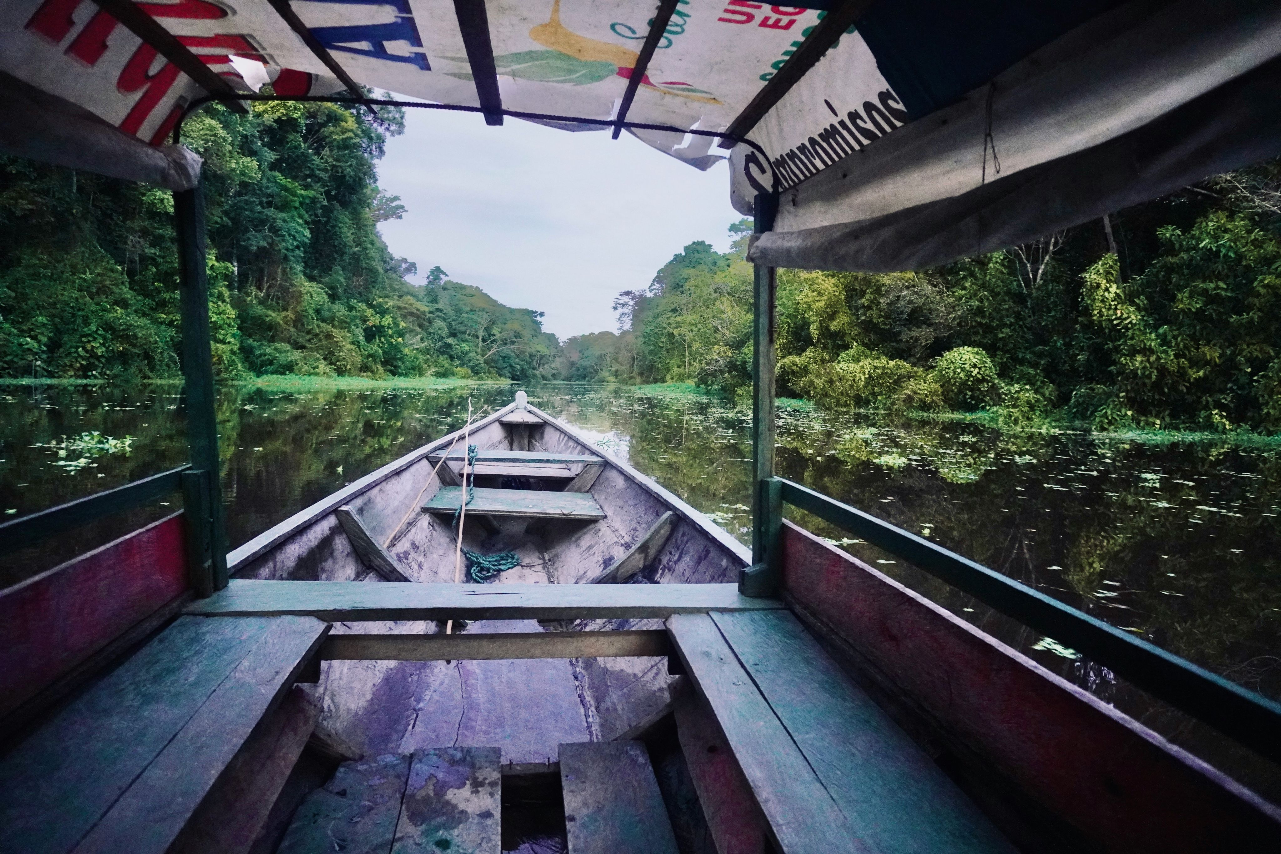 Boating through a lush, green amazon river.
