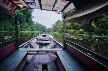 Boating through a lush, green amazon river.