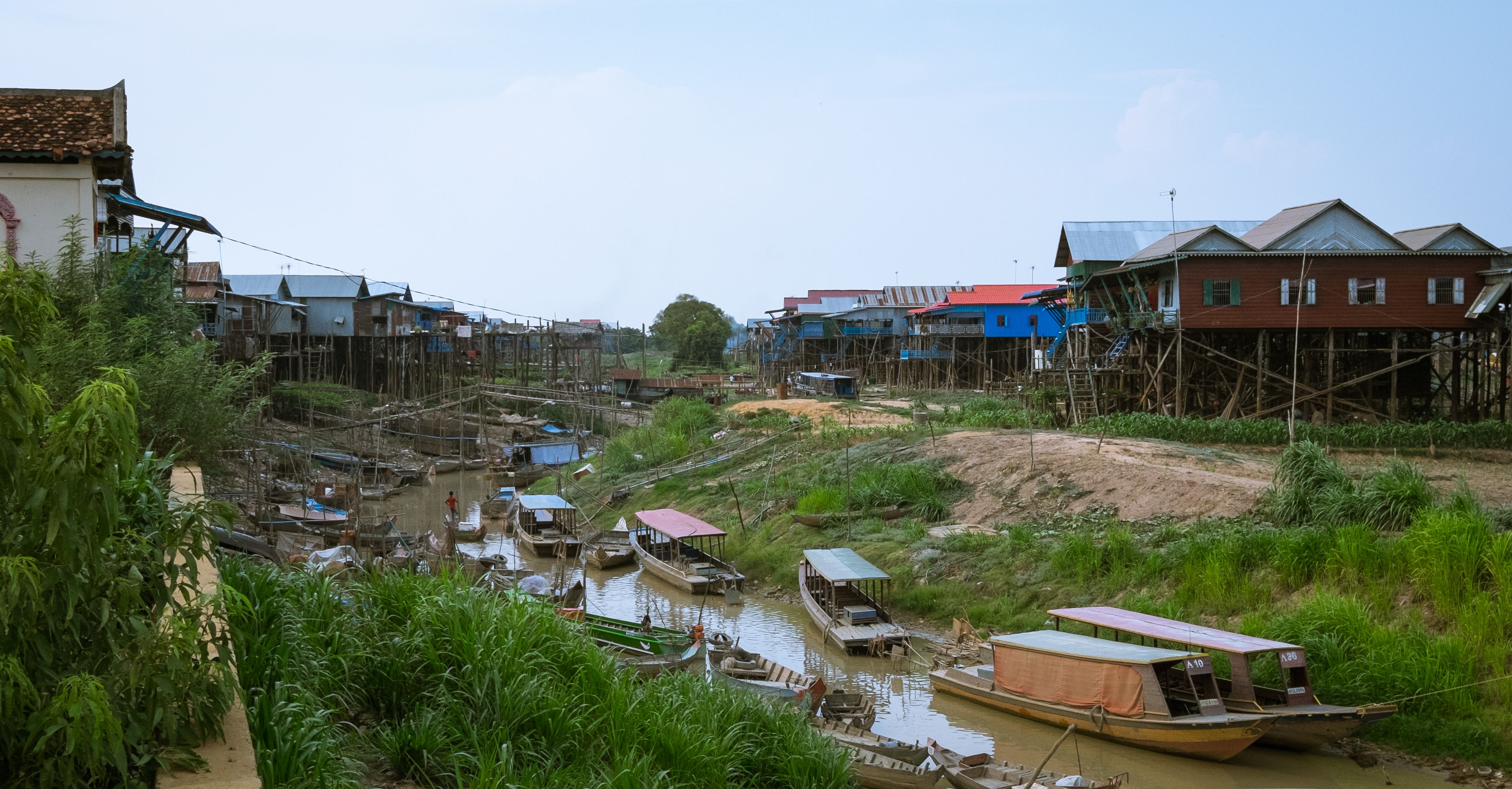 Voices from the Flooded Forest